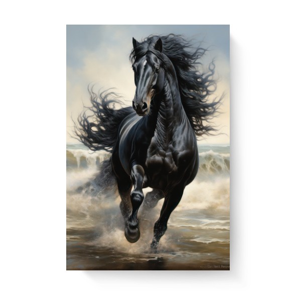 Photo Canvas 2:3 s potiskem Black horse 
